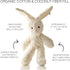 Pet Passion Durable Cotton Dog Toys with Coconut Fill - Bunny Design