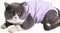 Cat Surgery Recovery Suit - Cat Onesie for Post-Surgery Wear, E-Collar Alternative for Cats (Purple-S)