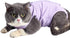 Cat Surgery Recovery Suit - Cat Onesie for Post-Surgery Wear, E-Collar Alternative for Cats (Purple-S)