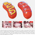Hot Dog Squeaky Dog Toy, Interactive Rubber Chew Toy for Aggressive Chewers, Humorous Gift for Dog Lovers