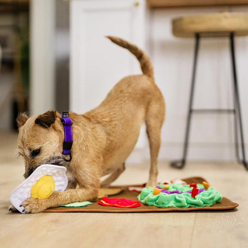 P.L.A.Y. Cute Snuffle Mat for Dogs - Brunch Themed Interactive Food & Treat Mat for Puppies Dogs - Enrichment Toy