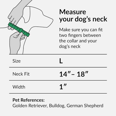CollarDirect Purple Geometric Dog Collar, Pet Collar for Small Medium Large Dogs or Puppies with Quick Release Buckle, Yellow Orange Pattern, Adjustable Nylon (Sunset, Neck Fit 14"-18")