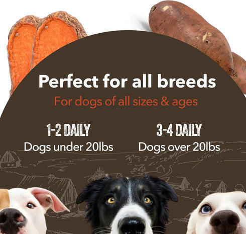 Gaines Family Farmstead Sweet Potato Chews - Dog Treats Made in The USA, High in Fiber, 32 Ounce Bag