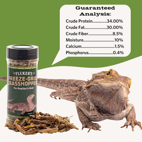 Fluker's Nutrient-Packed Freeze Dried Grasshoppers, Ideal for Lizards, Reptiles, Birds, Fish, Hedgehogs, 1.7 oz
