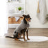 Bone Dry Pet Robe Collection - Embroidered Microfiber Bath Robe for Dogs & Cats, Medium, Gray