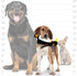 TUFFY World's Tuffest Soft Dog Toy - Zoo Junior Penguin with Squeakers, Durable for Interactive Play