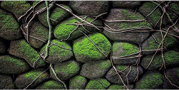 AWERT 48x18 inches Stone Aquarium Background, Rocky Fish Tank Background Vinyl for Terrarium