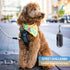 BAAPET Dog Leash with Comfortable Padded Handle, Highly Reflective Threads for Small Medium and Large Dogs (6FT-1/2'',