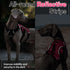 rabbitgoo Escape Proof Dog Harness, Soft Padded No Pull Vest for Large Dogs, Reflective, M, Pink