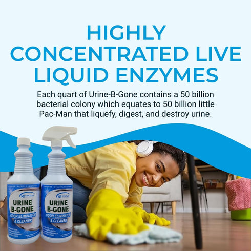 Urine B-Gone Professional Enzyme Odor Eliminator & Pet Stain Remover, 32oz Pack of Two, Effective on Laundry