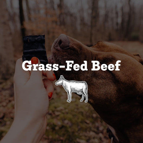 100% 4.5 oz 1 Pack Farm Hounds - Beef Trainers - Premium Natural Beef Jerky for Dogs - Made from Humanely Raised Cattle