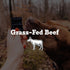 100% 4.5 oz 1 Pack Farm Hounds - Beef Trainers - Premium Natural Beef Jerky for Dogs - Made from Humanely Raised Cattle