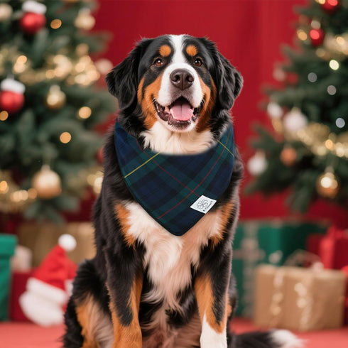 E-Clover Christmas Dog Bandanas Matching Owner Green Blue Buffalo Scarf Plaid Dog Bandana Bibs with Tartan Scarves