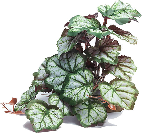 Woyrise Reptile Artificial Plants for Terrarium Decor, Amphibian Habitat Hideout Bearded Dragon