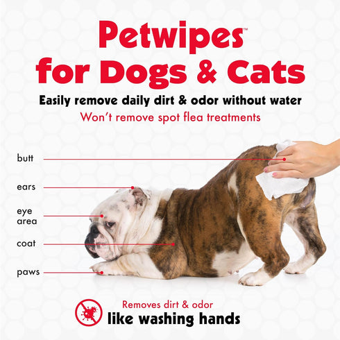 Petkin Pet Wipes for Dogs and Cats, 100 Large Wipes for Dirt & Odor Removal, Ideal for Home or Travel