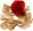 SunGrow 50 pcs Catappa Indian Almond Leaves - 2” Water Conditioner Leaves for Betta Fish Tank