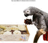 Generic Bird Toys Bird Foraging Shredding Chewing Parrot Foraging Shredding Toys Chewing Toy Birdcage Accessories