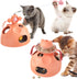 Interactive Cat Toy for Indoor Cats, 4-in-1 Modular Design with Cat Treats