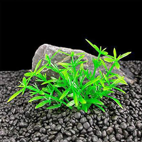 Smoothedo-Pets Aquarium Plant Decoration, 20 Pieces Small/1" Tall Plastic Artificial Plant Goldfish Hidden Mini Grass
