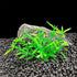 Smoothedo-Pets Aquarium Plant Decoration, 20 Pieces Small/1" Tall Plastic Artificial Plant Goldfish Hidden Mini Grass