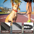 AUROTH Dog Leash, Heavy Duty Bungee, No Pull for Shock Absorption, Black Dog Training Leash for Medium Large Breed
