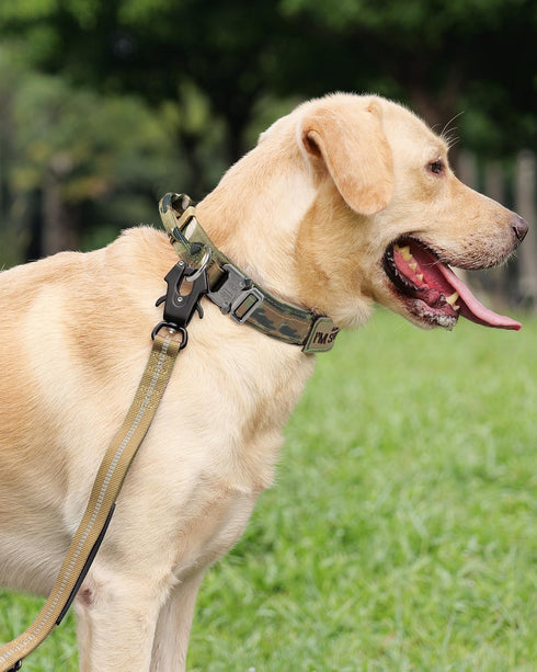 Joytale Tactical Dog Collar with Handle - Heavy Duty Military Collar with 2 Patches for Training (XL, Camouflage)