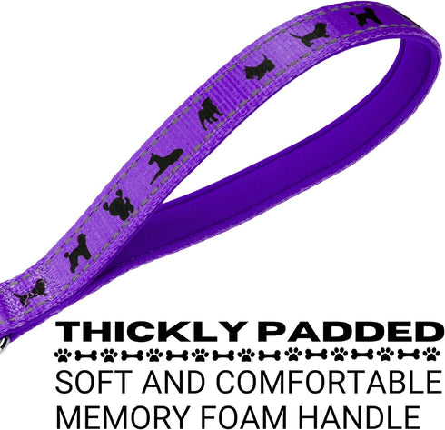 EcoBark Reflective Dog Leash, 4 FT / 5 FT / 6 FT, Eco-Bright with Padded Handle for Small and Medium Dogs (Purple)
