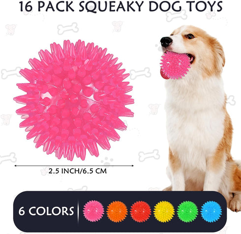 16 Pack Squeaky Dog Balls - 2.5'' Spiky TPR Rubber Balls for Teething, Interactive Fetch Toys for Small and Medium Dogs