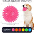 16 Pack Squeaky Dog Balls - 2.5'' Spiky TPR Rubber Balls for Teething, Interactive Fetch Toys for Small and Medium Dogs