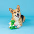 Fringe Studio Dog Toy, Pool Side Rex, Latex, Pet Shop Collection (366011)