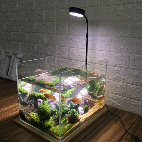 LED Aquarium Light 360 Degree Full Spectrum - 10W USB Powered Nano Fish Tank Light for Plant Growth