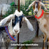 10 Sets Goat Collars with Bells, Adjustable Sheep Collar with Copper Bronze Bells for Small Animals, Farm Animal