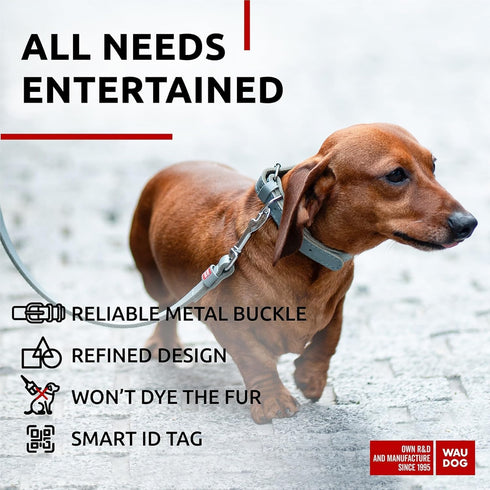 WAUDOG Long Lasting Leather Dog Collar for Large, Medium & Small Dogs - Adjustable Classic Puppy Collars