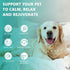 1 Pack-Delicious Oil for Dogs and Cats & Appealing Rich in Vitamins and Fatty Acids