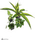 18x18x25 Josh's Frogs Crested Gecko Vivarium Plant Kit