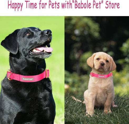 Babole Nylon Dog Collars - Red for Small Puppy Dog, 13 Colors, Adjustable Soft Comfortable Collars with Safety Metal