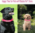 Babole Nylon Dog Collars - Red for Small Puppy Dog, 13 Colors, Adjustable Soft Comfortable Collars with Safety Metal
