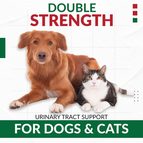 Cranberry D-Mannose for Dogs and Cats - Urinary Tract Infection Support, Double Strength Tablet, 60 Count