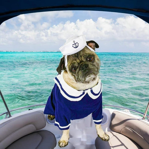 NAMSAN Pet Sailor Costume for Cats & Small Dogs - Cat Halloween Costumes, Navy Outfit with Hat