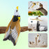 LOMIMOS Flying Bird Cat Toy, Interactive Hanging Spinning Simulation Bird with Sound Light for Indoor Ceiling Kitten