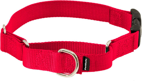 PetSafe Martingale Collar, Quick Snap Buckle, 3/4" Medium, Red