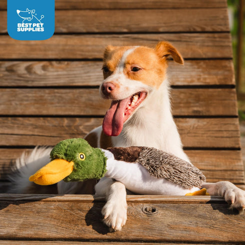 Best Pet Supplies Interactive Mallard Mates Dog Toy, Crinkle and Squeaky Plush for Small and Medium Breed Dogs (Brown)