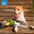 Best Pet Supplies Interactive Mallard Mates Dog Toy, Crinkle and Squeaky Plush for Small and Medium Breed Dogs (Brown)