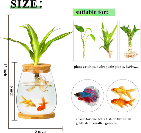 Desktop Fish Bowl, Clear Glass Small Fish Tank with Wood Lid and Bamboo Stand for Betta Fish
