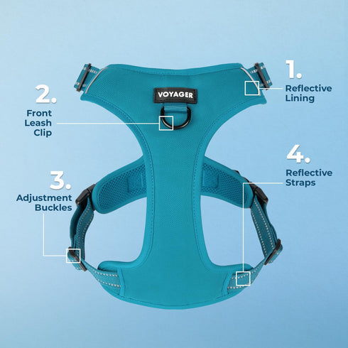 Voyager No Pull Dog Harness for Extra Small Dogs, Adjustable Soft Pet Harness with Dual Leash Attachments, Turquoise