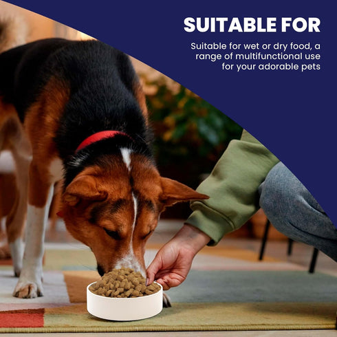 SPOT Ceramic Stoneware Pet Bowl, 7.5in Diameter - Heavy Duty Non-Slip Bowl for Medium and Large Dogs
