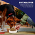 SPOT Ceramic Stoneware Pet Bowl, 7.5in Diameter - Heavy Duty Non-Slip Bowl for Medium and Large Dogs