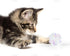 AUEAR 20 Pack Dye Free Cat Crinkle Balls 2" Mylar Sounds Shiny Glitter for Cats