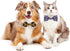 BWOGUE Plaid Dog Bow Ties - 10pcs Adjustable Bowties for Small Medium Large Dogs and Cats