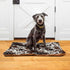 Qilmy Cow Print Dog Bed, Non-Slip Soft Cat and Dog Bed Mattress, Washable Kennel Pad (24 x 36 Inch)